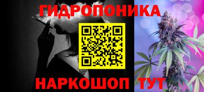 дурь Шелехов