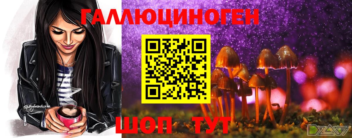 Псилоцибиновые грибы GOLDEN TEACHER Заводоуковск