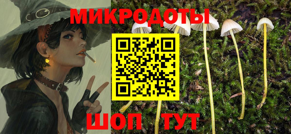 Псилоцибиновые грибы GOLDEN TEACHER  Галлюциногенные грибы мицелий  Вход с VPN  Заводоуковск 